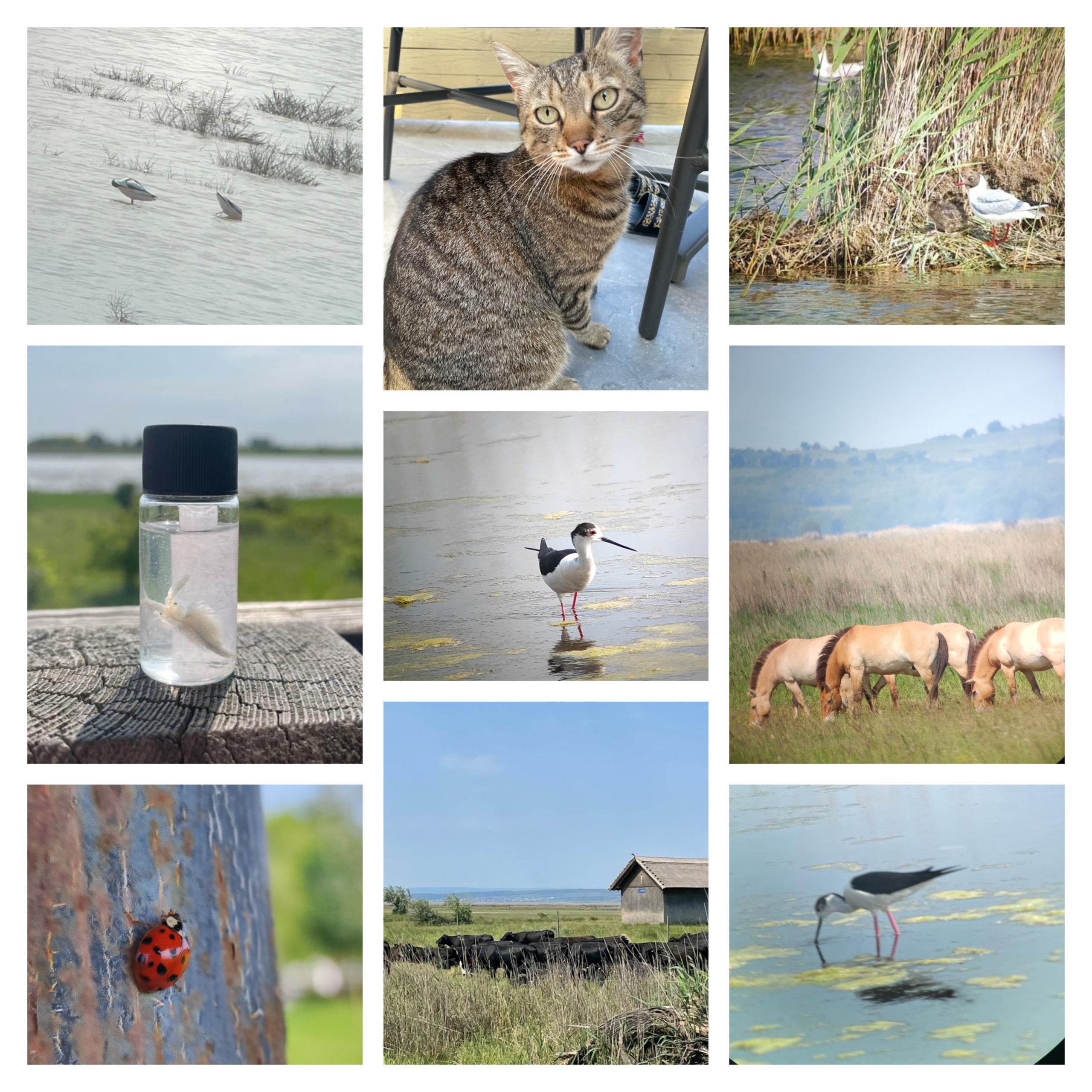 Impressionen_Collagen Klimatage (2)