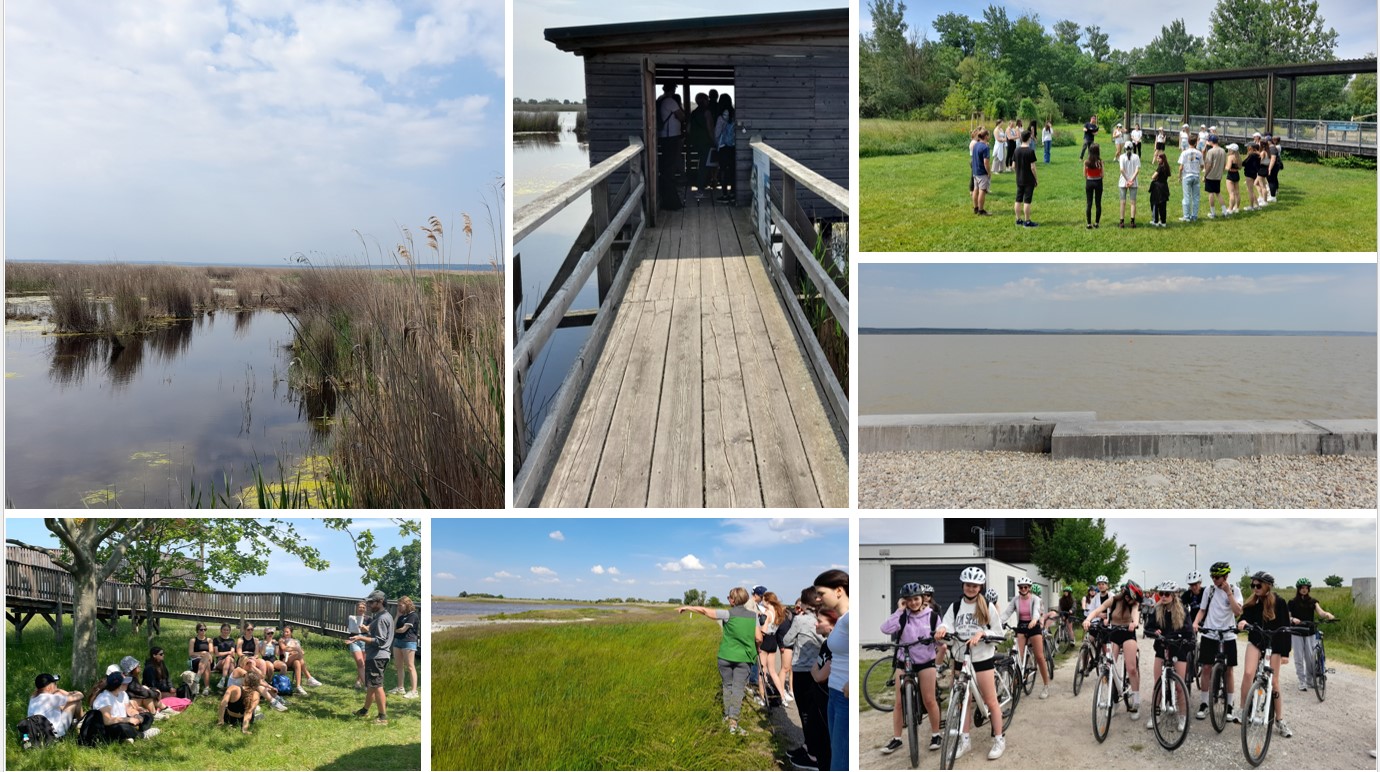 Klimatage Collage Neusiedlersee 5C_LC