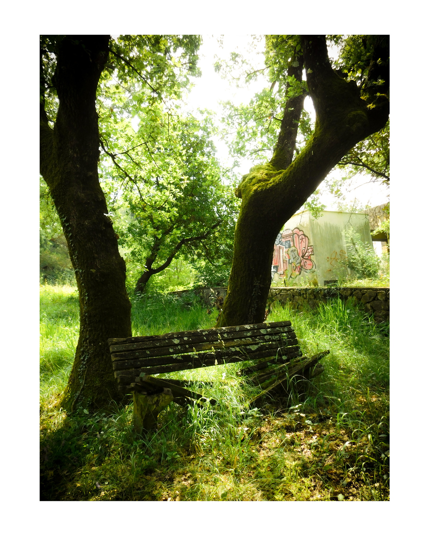 28_ JB_ANTE PORTAS_Fotografien von Klampfl und Zettl_FH_korr_INS (3)